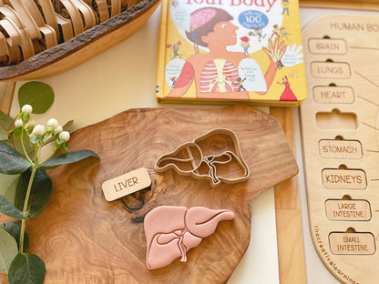 NEW - Human Body Anatomy Bio Dough Cutter - set of 10 or individual