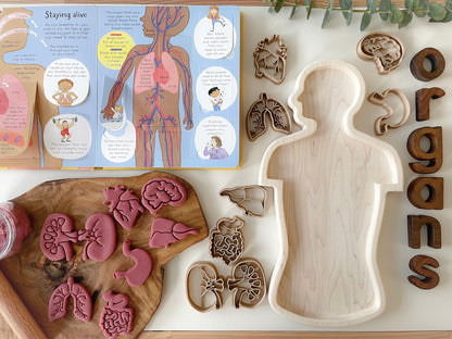 Mini Organs Bio Dough Cutter sets or individuals