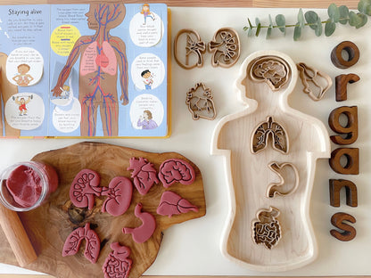 Mini Organs Bio Dough Cutter sets or individuals