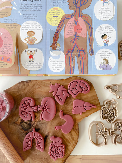 Mini Organs Bio Dough Cutter sets or individuals