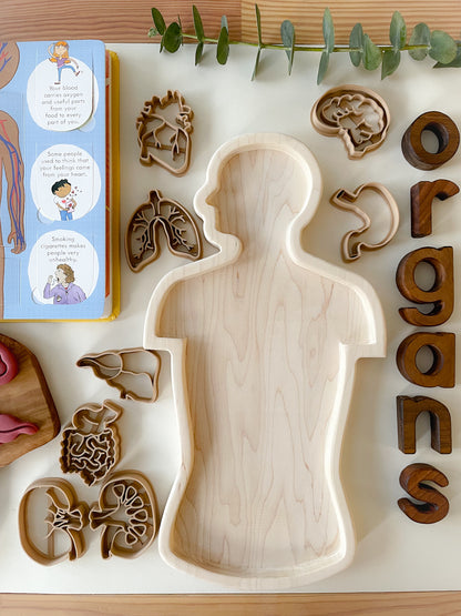 Mini Organs Bio Dough Cutter sets or individuals