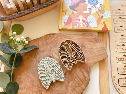NEW - Human Body Anatomy Bio Dough Cutter - set of 10 or individual