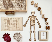 Load image into Gallery viewer, Wooden Skeleton Puzzles with information card
