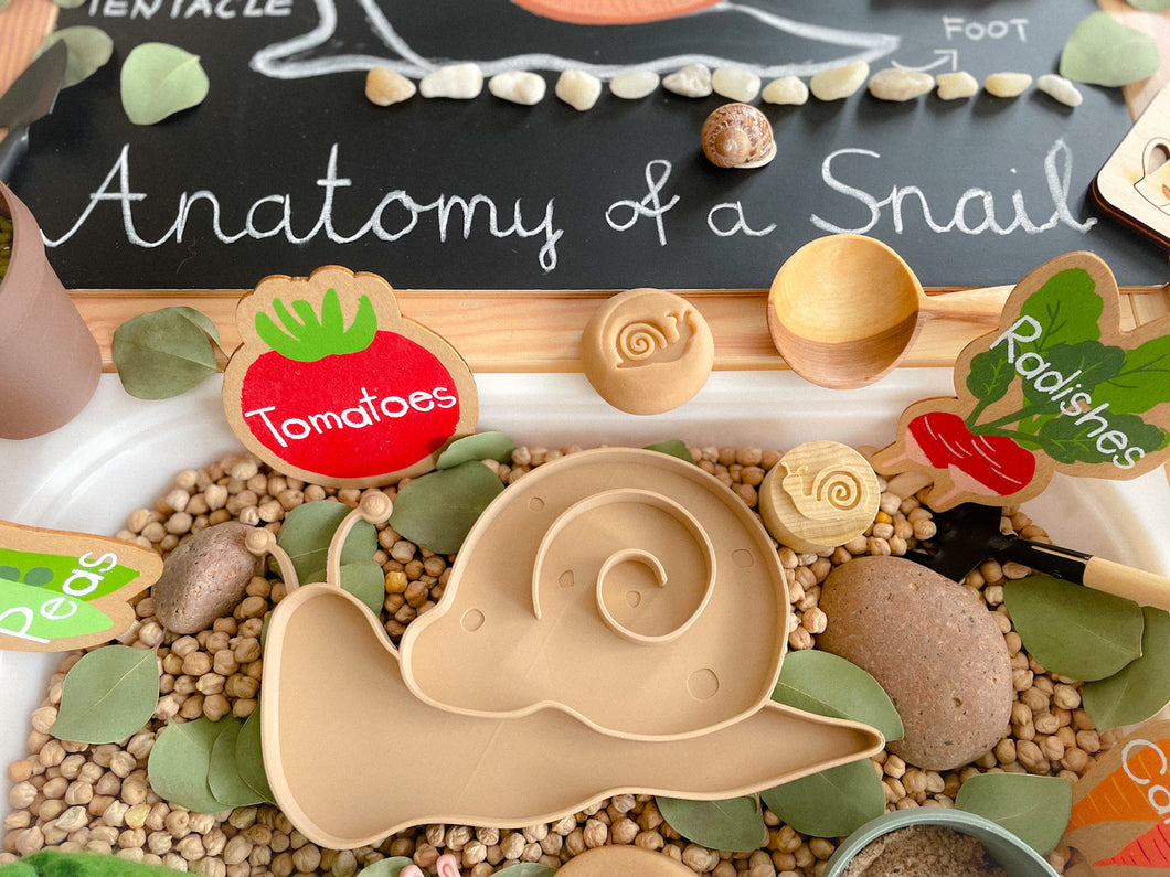 Snail Biodegradable Sensory Tray (Beige or Brown)