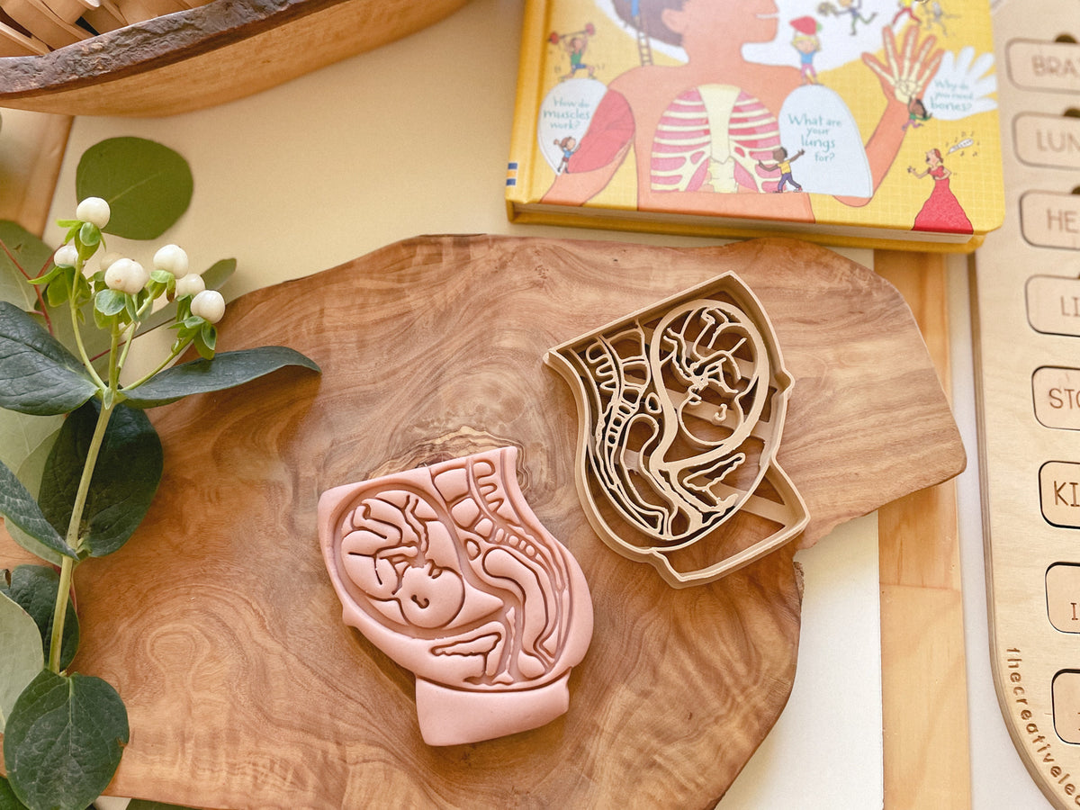 NEW - Human Body Anatomy Bio Dough Cutter - set of 10 or individual