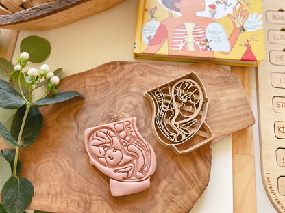NEW - Human Body Anatomy Bio Dough Cutter - set of 10 or individual