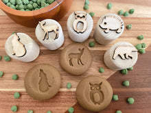 Load image into Gallery viewer, Wooden Playdough Stamps - different themes
